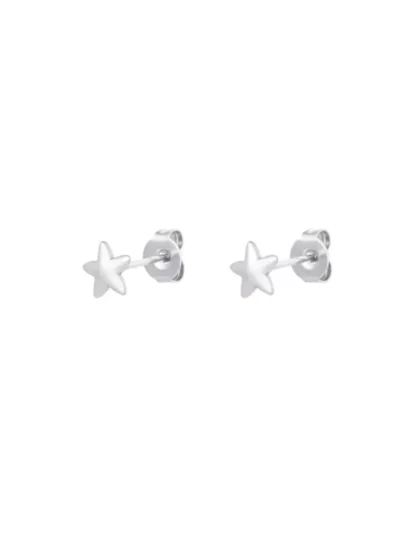 Yehwang Yehwang Oorknopjes Ster | Zilver